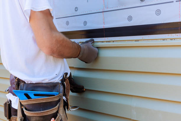 Affordable Siding Replacement solutions in Duncan Falls, OH